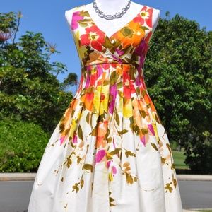 Gorgeous DB Spring Sz Small Flare Dress! Like New!